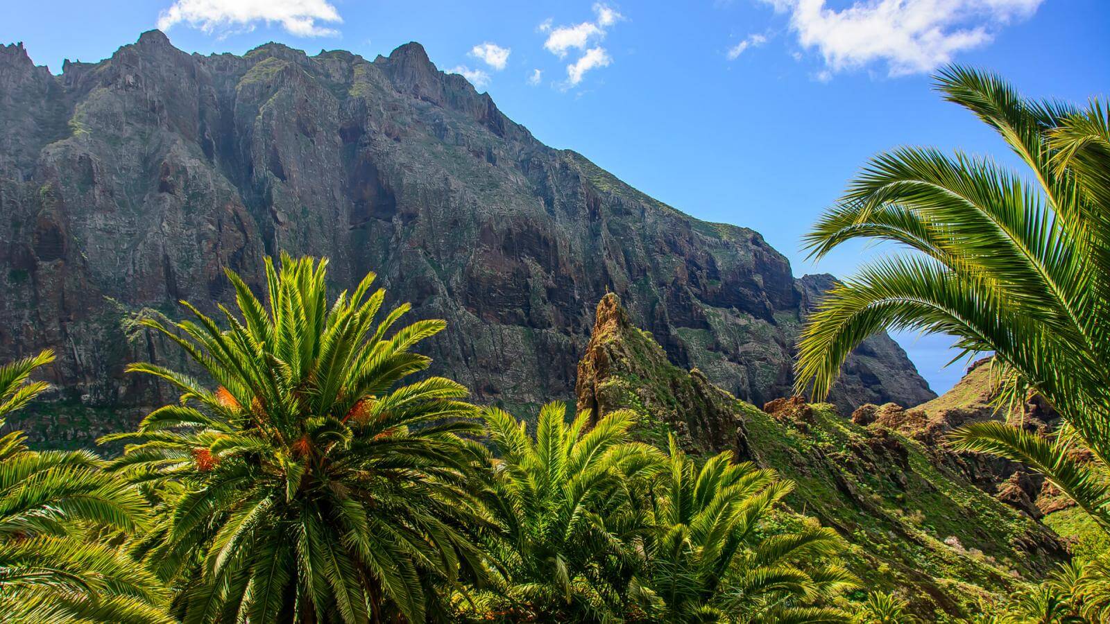 Tenerife